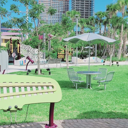Picture of Heart & Soul Park Cameras